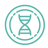 500 mg de NR (no NMN)