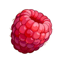 Raspberry